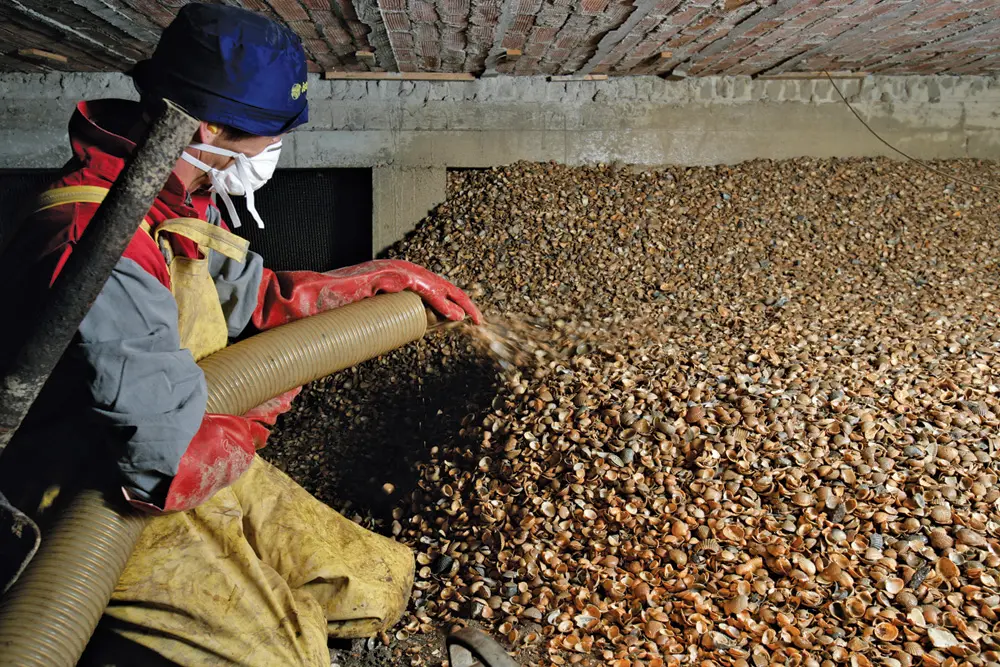 Schelpen worden ingeblazen
